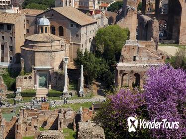 Rome Super Saver: Skip-the-Line Ancient Rome and Colosseum Walking Tour plus Frascati Wine Tasting Tour