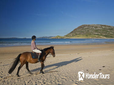 Shore Excursions: Guided Beach Horse Riding Excursion: Wild Atlantic Way Connemara
