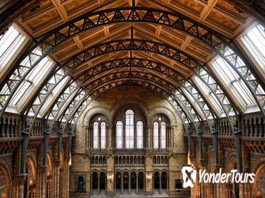 Private Guided Tour: Natural History Museum of London