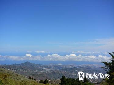 Gran Canaria Peaks Full-Day Tour from Las Palmas