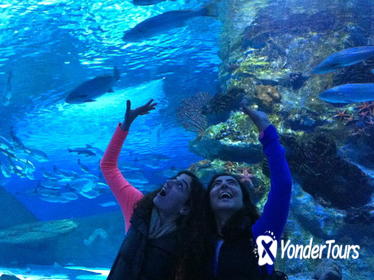 Antalya Aquarium including Hotel Pickup