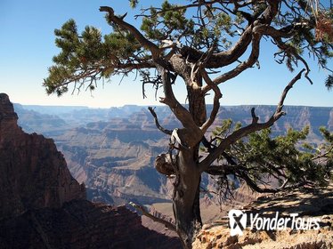 Grand Canyon Hike with Sedona and Flagstaff Hotel Pickup
