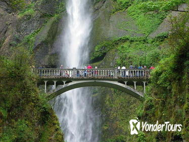 Morning Half-Day Multnomah Falls and Columbia River Gorge Waterfalls Tour from Portland