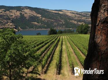 Full Day Columbia River Gorge Waterfalls and Wine Tasting Combo