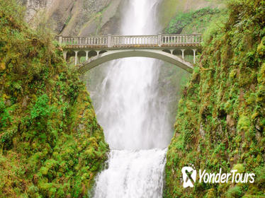 Portland Combo: Hop-On Hop-Off Sightseeing Trolley and Columbia River Gorge Tour