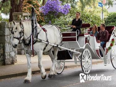 30-Minute Heritage Horse-Drawn Carriage Tour