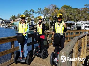 The New Perspective Manatee Tour, See The Manatee - Crystal River Segway Tours