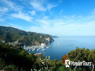 Catalina Island Day Trip from Anaheim or Los Angeles with Optional Upgrades