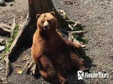Sitka Fortress of the Bear, Brew & Scenic Tour