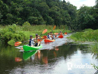 Lake Gatun Boat Tour Including Kayaking and Lunch