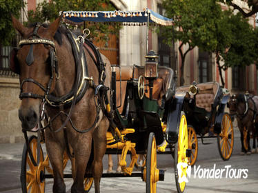 Cartagena Horse and Carriage Night Ride Including Dinner