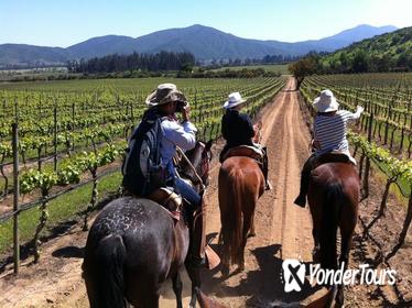Casablanca Wine Tour and Horse Riding from Santiago