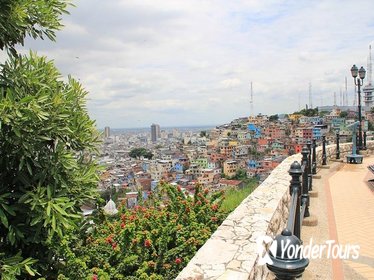 Private Guayaquil Half-Day City Tour Including The Malecon and Las PeÃƒÂ±as Neighborhood