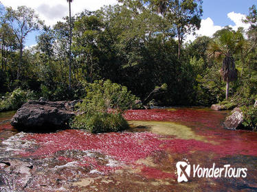 3-Day CaÃƒÂ±o Cristales from La Macarena with Accommodation