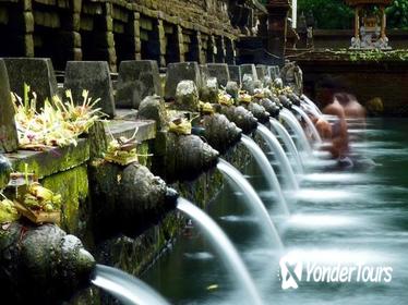 Full Day Bali Island Tour Including Spa Balinese Massage for 2 Hours