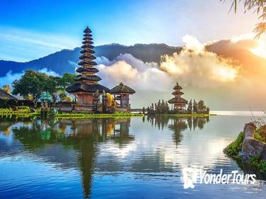 Bali Temple and Traditional Fruit Market Tour