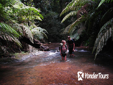 5-Day Wild Jungle Ranger Adventure Tour from Bangkok