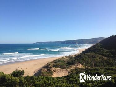 Two Day Great Ocean Road Tour