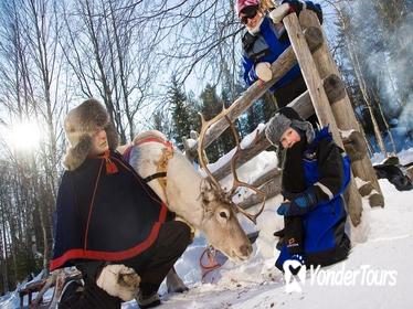 Lapland Snowmobile Safari To Reindeer Farm from Rovaniemi