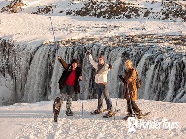 Dettifoss Waterfall Tour from Lake Myvatn