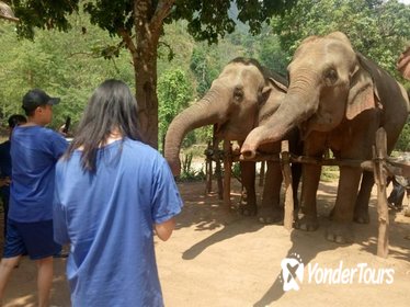 Elephant Sanctuary, Trekking and White Water Rafting in Chiang Mai