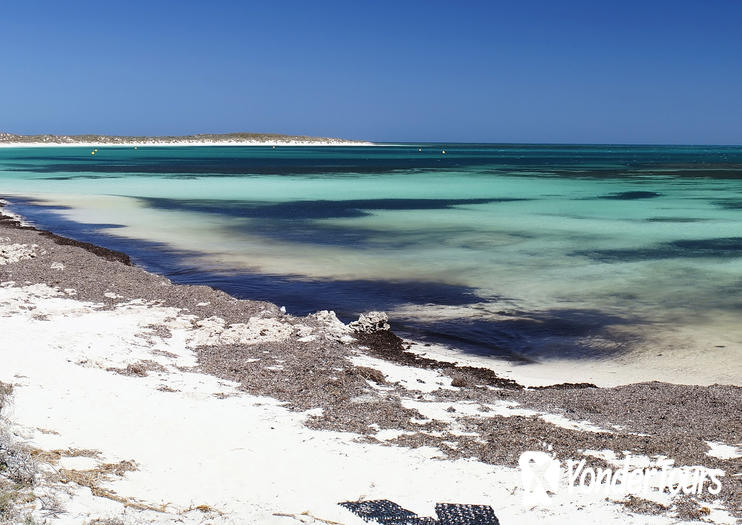 Abrolhos Island