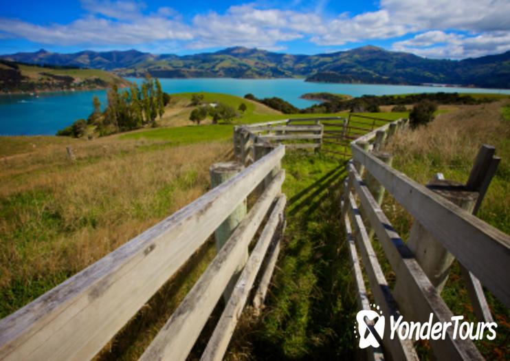 Akaroa Harbour