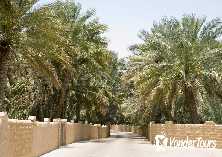 Al Ain Oasis