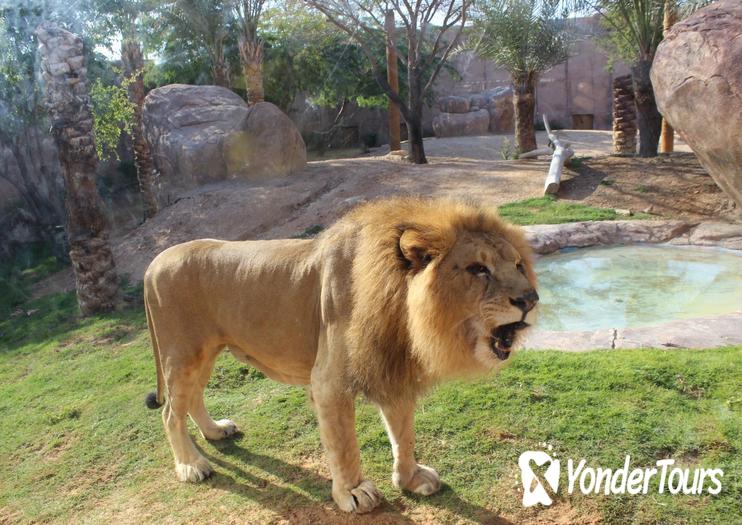 Al Ain Zoo