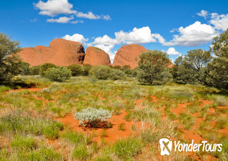 Alice Springs Desert Park