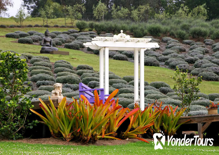 Alii Kula Lavender Farm Alii Kula Lavender Farm