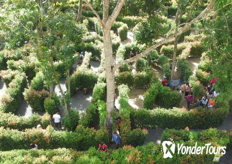 A-Maze Garden