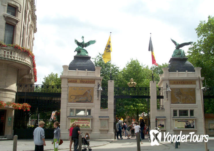 Antwerp Zoo (Dierentuin)