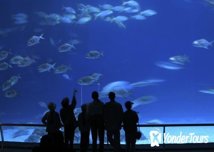 Aquarium of Western Australia (AQWA)