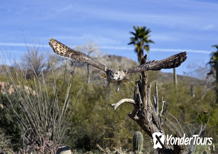 Arizona-Sonora Desert Museum