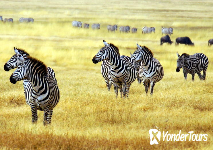 Arusha National Park Arusha National Park