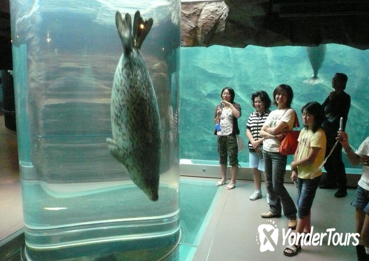 Asahiyama Zoo Asahiyama Zoo