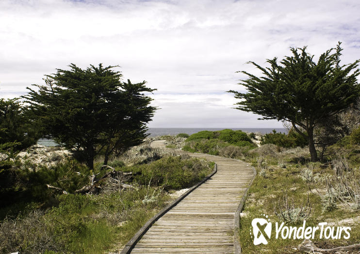 Asilomar State Beach 