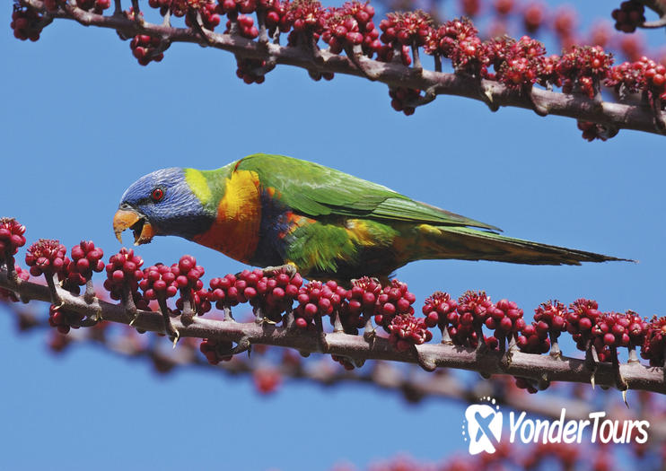 Atherton Tablelands Atherton Tablelands