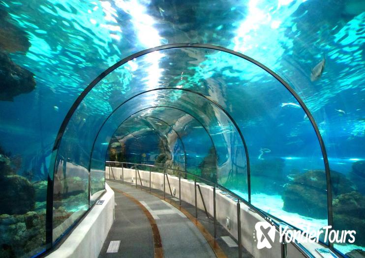 Barcelona Aquarium (L'Aquarium) Barcelona Aquarium (L'Aquarium)