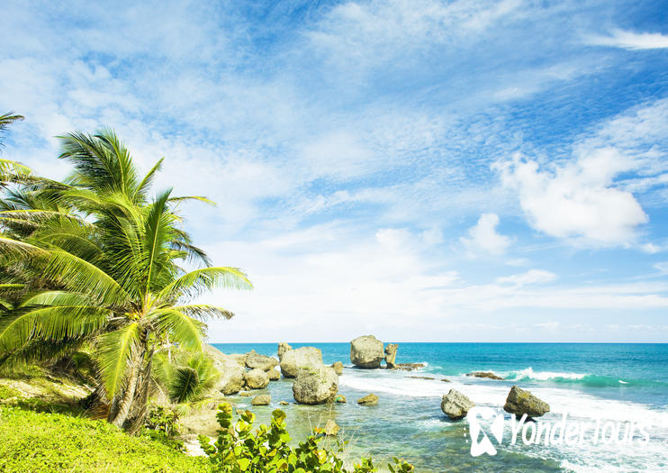 Bathsheba Beach