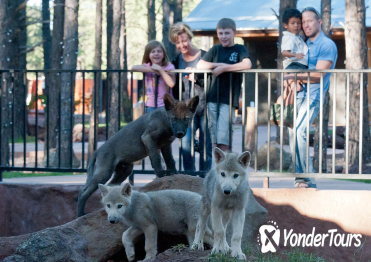 Bearizona Wildlife Park