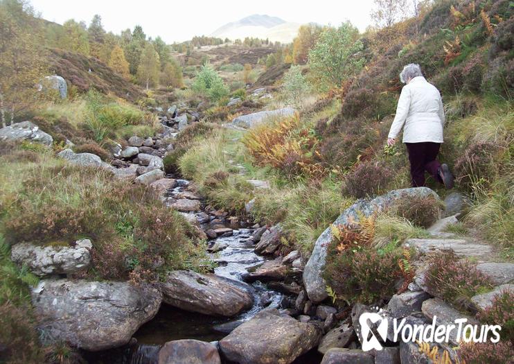 Ben Lawers National Nature Reserve