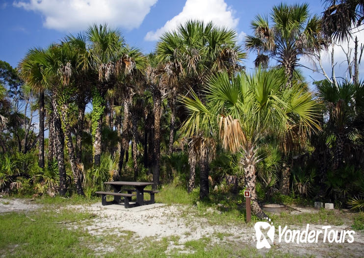 Big Cypress National Preserve