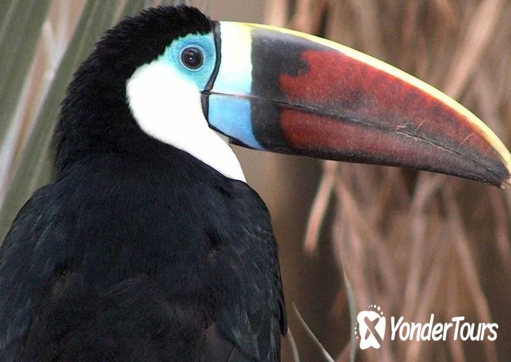 Bird Kingdom Niagara Falls