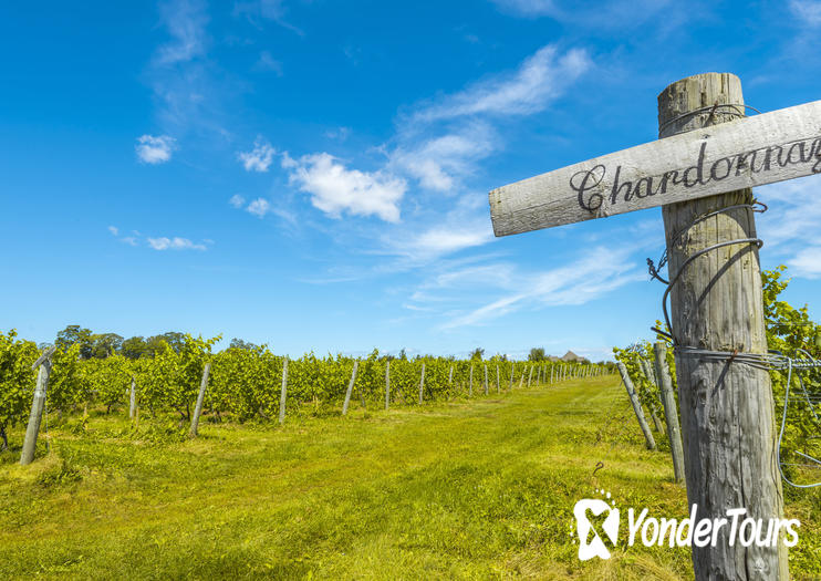 Blomidon Estate Winery Blomidon Estate Winery