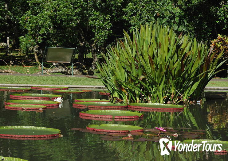 Bogor Botanical Gardens