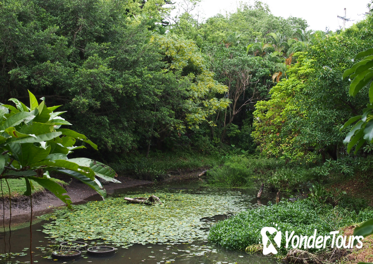 Botanical Gardens Botanical Gardens
