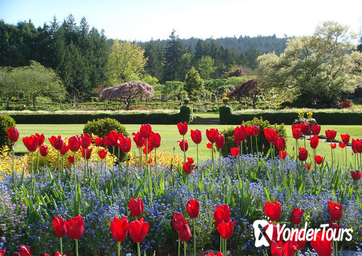 Butchart Gardens