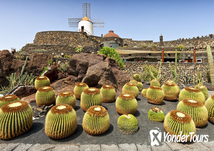 Cactus Gardens (Jardin de Cactus) Cactus Gardens (Jardin de Cactus)